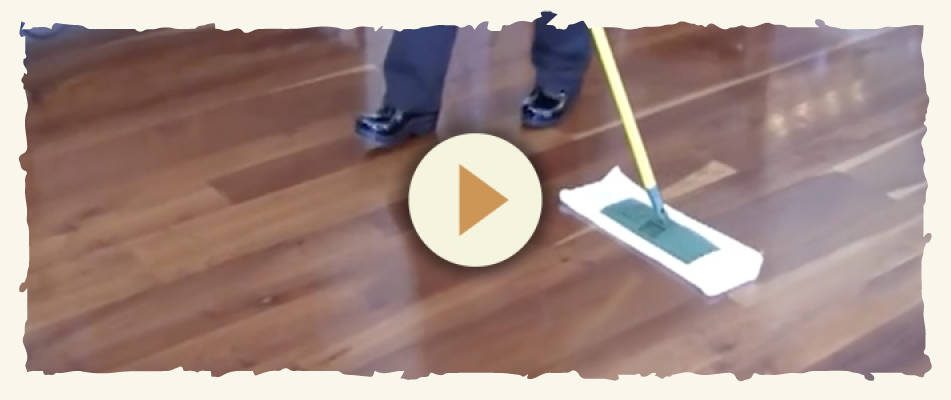 Cleaning and Maintenance